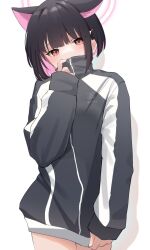 Rule 34 | 1girl, animal ears, black hair, black jacket, blue archive, blush, cat ears, colored inner hair, covered mouth, exiadoon, feet out of frame, halo, highres, jacket, kazusa (blue archive), long sleeves, looking at viewer, multicolored hair, pink eyes, pink hair, short hair, standing, track jacket, two-tone hair, upper body, white background