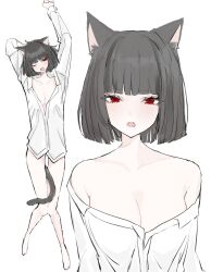 Rule 34 | 1girl, alternate costume, animal ears, black hair, breasts, cat ears, cat girl, cat tail, cleavage, collarbone, collared shirt, fangs, full body, highres, limbus company, medium hair, noroma u, off shoulder, project moon, red eyes, ryoshu (project moon), shirt, simple background, small breasts, solo, tail, white background, white shirt, yawning