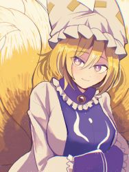 Rule 34 | 1girl, blonde hair, breasts, closed mouth, fox girl, fox tail, highres, horny zzz, large breasts, long hair, looking at viewer, one-hour drawing challenge, purple eyes, short hair, smile, solo, tail, touhou, upper body, yakumo ran