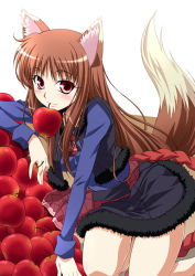 Rule 34 | 00s, animal ears, apple, brown hair, food, fruit, holo, izumi mahiru, long hair, mouth hold, red eyes, solo, spice and wolf, tail, wolf ears, wolf tail