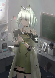 Rule 34 | 1girl, absurdres, animal ear fluff, animal ears, arknights, bare shoulders, black choker, character doll, choker, cowboy shot, doctor (arknights), dress, green dress, grey eyes, highres, holding, indoors, kal&#039;tsit (arknights), long sleeves, material growth, off-shoulder dress, off shoulder, oripathy lesion (arknights), picture frame, short dress, short hair, silver hair, solo, standing, sxy-nr, test tube, watch, wristwatch