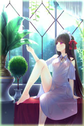 Rule 34 | 1girl, bare shoulders, barefoot, black hair, bow, breasts, closed mouth, commentary request, covered erect nipples, dress, feet out of frame, hair bow, highres, indoors, knee up, long hair, looking away, maid headdress, medium breasts, original, plant, purple eyes, red bow, sitting, smile, solo, usume shirou, very long hair, white dress, window