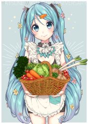 Rule 34 | 1girl, apron, ascot, bad id, bad pixiv id, basket, bell pepper, black ascot, blue eyes, blue hair, blue nails, cabbage, carrot, carrot hair ornament, character name, cowboy shot, flower, food-themed hair ornament, frilled apron, frills, hair flower, hair ornament, hatsune miku, highres, holding, holding basket, lettuce, long hair, looking at viewer, nail polish, onion, pepper, potato, simple background, smile, solo, spring onion, tomato, twintails, umeno (shio1205), very long hair, vocaloid