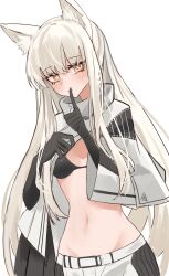 Rule 34 | 1girl, absurdres, animal ears, arknights, belt, belt buckle, bikini, bikini top only, black bikini, black gloves, blush, breasts, bright pupils, buckle, closed mouth, elbow gloves, finger to mouth, gloves, grey hair, highres, horse ears, index finger raised, long hair, long sleeves, looking at viewer, navel, platinum (arknights), shino duka, shushing, simple background, small breasts, solo, stomach, swimsuit, very long hair, white background, yellow eyes