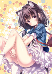 Rule 34 | 1girl, animal ear fluff, animal ears, bag, between legs, black hair, blue jacket, blush, cat ears, cat girl, cat tail, closed mouth, commentary request, dress, floral background, frilled dress, frills, hair bobbles, hair ornament, hand between legs, highres, jacket, long hair, looking at viewer, low twintails, no shoes, open clothes, open jacket, original, panties, pink panties, polka dot, polka dot panties, puffy short sleeves, puffy sleeves, red eyes, ryo (botugo), short sleeves, shoulder bag, smile, socks, solo, tail, twintails, underwear, white dress, white socks, yellow background