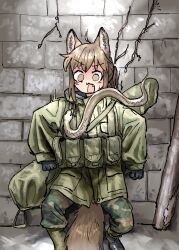 Rule 34 | 1girl, absurdres, ahoge, animal ears, brown eyes, brown hair, fox ears, fox girl, fox girl (yihan1949), fox tail, gloves, highres, military uniform, open mouth, original, scared, snake, solo, tail, uniform, yihan1949