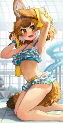 Rule 34 | 1girl, :d, absurdres, animal ear fluff, animal ears, armpits, arms up, barefoot, bikini, blush, breasts, brown hair, day, dhole (kemono friends), drying, drying hair, eyebrows hidden by hair, foot out of frame, frilled bikini, frills, from side, highres, indoors, kemono friends, kneeling, looking at viewer, medium breasts, melaton, multicolored hair, navel, open mouth, orange eyes, smile, solo, swimsuit, tail, teeth, towel, two-tone hair, underboob, upper teeth only, water slide