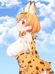 Rule 34 | 10s, 1girl, animal ears, bad id, bad pixiv id, bare shoulders, breasts, brown hair, cloud, day, highres, kemono friends, large breasts, looking at viewer, serval (kemono friends), serval print, serval tail, short hair, sideboob, sky, smile, solo, tail, uccow