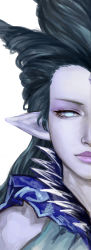 Rule 34 | 10s, 1girl, black hair, blue eyes, colored skin, consectetur, final fantasy, final fantasy xiv, forehead jewel, highres, lipstick, looking at viewer, makeup, no pupils, pointy ears, purple lips, purple skin, shiva (final fantasy), solo