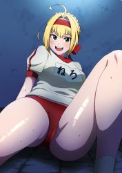 Rule 34 | 1girl, absurdres, ahoge, blonde hair, blush, braid, breasts, buruma, fate/extra, fate/grand order, fate (series), french braid, green eyes, gym shirt, hair between eyes, hair bun, hair intakes, headband, highres, knee up, large breasts, long hair, looking at viewer, name tag, nero claudius (fate), nero claudius (fate) (all), nero claudius (fate/extra), nero claudius (olympian bloomers) (fate), official alternate costume, open mouth, red buruma, red headband, shirt, single hair bun, sitting, smile, solo, thighs, uma j