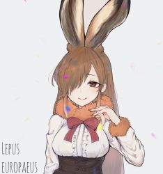Rule 34 | 10s, 1girl, animal ears, bad id, bad twitter id, bow, bowtie, brown eyes, brown hair, center frills, dnsdltkfkd, european hare (kemono friends), extra ears, frills, fur collar, fur trim, hair over one eye, kemono friends, latin text, long hair, long sleeves, playing with own hair, rabbit ears, sidelocks, solo, upper body, white hair