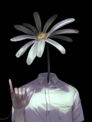 Rule 34 | 1girl, black background, breast pocket, breasts, collared shirt, daisy, dress shirt, facing viewer, flower, hand up, highres, monster girl, object head, original, oversized flower, pinky out, plant, plant girl, pocket, shirt, short sleeves, simple background, small breasts, solo, string, string of fate, upper body, white flower, white shirt, yiwoo2030