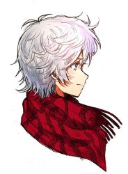 Rule 34 | 1boy, bad id, bad twitter id, blue eyes, character request, closed mouth, commentary request, copyright request, from side, male focus, mizu ramen, plaid, plaid scarf, portrait, profile, red scarf, scarf, simple background, solo, white background, white hair