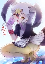 Rule 34 | 1girl, :3, ass, black-tailed gull (kemono friends), black hair, blonde hair, cellphone, commentary request, grey hair, head wings, highres, kemono friends, long hair, looking at viewer, looking back, multicolored hair, panties, panties under pantyhose, pantyhose, partial commentary, phone, romaji text, smartphone, smirk, solo, squatting, tail, tanaka kusao, underwear, white hair, wings, yellow eyes, yellow pantyhose
