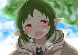 Rule 34 | 1girl, cloud, crying, crying with eyes open, elf, green hair, hood, hooded jacket, jacket, leaf, mushoku tensei, outdoors, pointy ears, red eyes, sky, solo, sylphiette (mushoku tensei), tears, white jacket, yakata mana