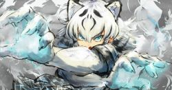 Rule 34 | 1girl, adeshi (adeshi0693119), animal ear fluff, animal ears, aqua eyes, black hair, commentary request, fingernails, foreshortening, gloves, grey background, hair between eyes, highres, kemono friends, multicolored hair, outstretched arms, plaid trim, pleated shirt, sharp fingernails, short sleeves, sleeves rolled up, solo, sparks, streaked hair, tiger ears, tiger girl, upper body, v-shaped eyebrows, white hair, white tiger (kemono friends)