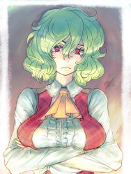 Rule 34 | 1girl, ascot, border, breast rest, breasts, collared shirt, crossed arms, expressionless, green hair, kazami yuuka, large breasts, long sleeves, looking down, oo gata ken, plaid, plaid vest, pointy nose, red eyes, shirt, short hair, signature, solo, touhou, upper body, vest, wavy hair