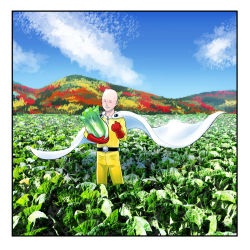 Rule 34 | 1boy, ^ ^, absurdres, bald, cabbage, cape, closed eyes, closed eyes, farm, food, gloves, grin, highres, holding, holding food, one-punch man, photo-referenced, plant, saitama (one-punch man), shimoda, sky, smile, solo