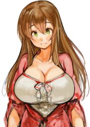 Rule 34 | 1girl, breasts, brown hair, character request, cleavage, collarbone, copyright request, green eyes, huge breasts, long hair, sachito, simple background, solo, upper body, white background