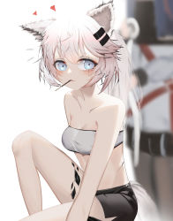 Rule 34 | 2girls, absurdres, alternate hairstyle, animal ears, arknights, bandeau, bare arms, bare shoulders, black legwear, black shorts, blue eyes, blurry, blush, breasts, collarbone, commentary, food, food in mouth, hair ornament, hairclip, head out of frame, heart, highres, jacket, knee up, kuilsa, lappland (arknights), long hair, looking at viewer, material growth, medium breasts, midriff, mouth hold, multiple girls, oripathy lesion (arknights), pantyhose, pocky, ponytail, scar, scar across eye, scar on face, short shorts, shorts, silver hair, simple background, stomach, strapless, tail, texas (arknights), thighs, tube top, white background, white jacket, wolf ears, wolf tail