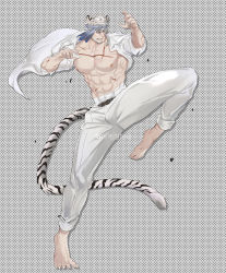 Rule 34 | 1boy, abs, absurdres, animal ears, bara, bare pectorals, barefoot, beard, blue headband, braid, bulge, covered navel, cross scar, facial hair, fighting stance, headband, highres, jacket, kicking, large pectorals, male focus, mature male, medium hair, midriff sarashi, muscular, muscular male, nipples, open clothes, open jacket, original, pants, pants rolled up, pectorals, sarashi, scar, scar on chest, single braid, sleeves rolled up, solo, stomach, tai (tai xwxy), tail, thick thighs, thighs, tiger boy, tiger ears, tiger tail, white hair