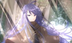 Rule 34 | 1boy, ahoge, bad id, bad pixiv id, character request, closed mouth, light rays, long hair, looking at viewer, male focus, outdoors, purple eyes, purple hair, saltycaramel, solo, tales weaver, upper body