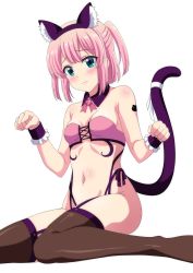 Rule 34 | animal ears, aqua eyes, blush, breasts, brown thighhighs, cat ears, cat tail, chiyoda momo, closed mouth, commentary request, dbmaster, detached collar, embarrassed, fake animal ears, fake tail, female focus, highres, looking at viewer, machikado mazoku, navel, paw pose, pink hair, ribbon, short hair, simple background, sitting, skinny, small breasts, solo, tail, tail ornament, tail raised, tail ribbon, thighhighs, white background, white ribbon, wrist cuffs