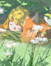 Rule 34 | 1boy, animal, blonde hair, blurry, child, closed eyes, closed mouth, depth of field, facing viewer, flower, fox, grass, green theme, highres, le petit prince, long sleeves, lying, male focus, nature, on ground, on stomach, prince (le petit prince), prince (masterwork apocalypse), sheya tin, short hair, sleeping, smile, white flower