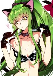 Rule 34 | 1girl, animal ears, black gloves, bow, bowtie, breasts, c.c., cat ears, cat tail, cleavage, code geass, collarbone, creayus, gloves, green hair, heart, looking at viewer, ponytail, simple background, solo, sweat, tail, yellow eyes
