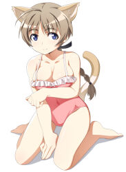 Rule 34 | 1girl, animal ears, blue eyes, blush, braid, braided ponytail, breasts, brown hair, cat ears, cat tail, cleavage, closed mouth, collarbone, large breasts, long hair, looking at viewer, lynette bishop, nanashino, one-piece swimsuit, pink one-piece swimsuit, ponytail, simple background, smile, solo, strike witches, swimsuit, tail, white background, world witches series