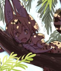 Rule 34 | 10s, 1girl, :d, animal ears, animal print, bare shoulders, black hair, blonde hair, blush, bow, bowtie, branch, cat ears, cat tail, commentary request, dappled sunlight, day, dress, elbow gloves, fang, gloves, in tree, kemono friends, leopard print, looking at viewer, lying, multicolored hair, on stomach, open mouth, outdoors, palm tree, serval (kemono friends), serval print, serval tail, short hair, sketch, sleeveless, sleeveless dress, smile, solo, streaked hair, summer, sunlight, tail, tareme, tree, yellow eyes, yoshida on
