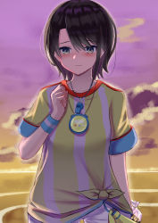 Rule 34 | 1girl, black hair, blush, breasts, closed mouth, collarbone, commentary request, grey eyes, hair between eyes, highres, hololive, megaphone, natsuki (natukituki), oozora subaru, oozora subaru (1st costume), outdoors, parted bangs, shirt, short sleeves, shorts, small breasts, solo, standing, stopwatch, striped clothes, striped shirt, sunset, tied shirt, vertical-striped clothes, vertical-striped shirt, virtual youtuber, watch, whistle, whistle around neck, white shorts