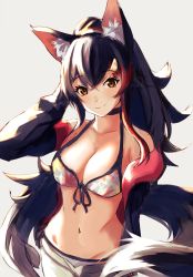 Rule 34 | 1girl, animal ear fluff, animal ears, bikini, bikini under clothes, black choker, black hair, black jacket, blush, breasts, choker, cleavage, closed mouth, collarbone, commentary, cowboy shot, eyelashes, grey background, groin, hair between eyes, hair ornament, halterneck, hand in own hair, highres, hololive, jacket, leaf print, long hair, looking at viewer, maple leaf print, medium breasts, midriff, multicolored hair, mushrooming man, navel, ookami mio, ookami mio (hololive summer 2019), open clothes, open jacket, orange eyes, ponytail, red hair, red jacket, shorts, side-tie bikini bottom, simple background, smile, solo, streaked hair, swimsuit, tail, two-sided fabric, two-sided jacket, two-tone hair, virtual youtuber, white bikini, white shorts, wolf ears, wolf tail