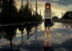 Rule 34 | 1girl, angry, brown hair, chain-link fence, fence, full body, long hair, looking at viewer, non-web source, original, reflection, school uniform, serafuku, skirt, solo, standing, sunset, wading, water