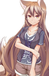Rule 34 | 1girl, alternate costume, alternate hair color, alternate hair length, alternate hairstyle, animal ears, blush, breasts, brown hair, casual, cleavage, collarbone, fox ears, fox tail, jewelry, long hair, looking at viewer, medium breasts, multiple tails, necklace, no headwear, shorts, simple background, smile, solo, tail, tamahana, touhou, very long hair, white background, yakumo ran, yellow eyes