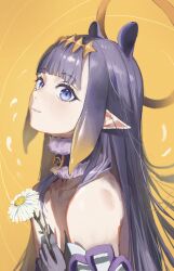 Rule 34 | 1girl, absurdres, bare shoulders, blue eyes, blunt bangs, collarbone, dotthebot, flower, from side, halo, highres, holding, holding flower, hololive, hololive english, long hair, looking at viewer, ninomae ina&#039;nis, ninomae ina&#039;nis (1st costume), pointy ears, purple hair, sideways mouth, simple background, smile, solo, virtual youtuber, white flower, yellow background