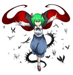 Rule 34 | &gt;:), 1girl, antennae, bad id, bad nicoseiga id, black cape, blue pants, bobby socks, brown footwear, bug, butterfly, cape, centipede, dragonfly, dress shirt, fireflies, full body, green eyes, green hair, highres, insect, juliet sleeves, kankan33333, long sleeves, looking at viewer, mary janes, matching hair/eyes, outstretched arms, pants, puffy sleeves, shirt, shoes, short hair, silhouette, socks, solo, spread arms, touhou, transparent background, v-shaped eyebrows, white background, white shirt, white socks, wriggle nightbug
