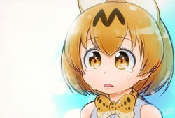 Rule 34 | 10s, 1girl, animal ears, artist name, bare shoulders, blonde hair, bow, bowtie, brown eyes, commentary request, crying, crying with eyes open, d:, kemono friends, lee (colt), open mouth, serval (kemono friends), serval print, short hair, signature, sleeveless, solo, tears, upper body