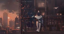 Rule 34 | 1girl, absurdres, animal, balcony, bird, black hair, building, city, cityscape, crossed arms, drawstring, head on arm, highres, leaning forward, looking at animal, looking away, mikka620, orange sky, original, plant, railing, reflection, scenery, sitting, sky, skyline, slippers, solo, stool, sweater, white bird, white sweater, wide shot, window