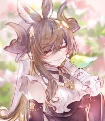 Rule 34 | 1girl, animal ears, artist name, asymmetrical legwear, bare shoulders, bird, blurry, blurry background, blush, breasts, brown hair, commentary request, curled horns, detached sleeves, extra ears, closed eyes, frilled sleeves, frills, galleon (granblue fantasy), gloves, granblue fantasy, hair between eyes, highres, horns, lala (0915 yu), large breasts, long hair, multicolored hair, outdoors, pointy ears, sideboob, single thighhigh, smile, solo, streaked hair, thigh strap, thighhighs, upper body, veil, very long hair, white gloves