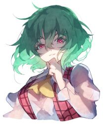 Rule 34 | 1girl, ascot, breasts, chiroru (cheese-roll), commentary, cropped torso, english commentary, green hair, hair between eyes, hand to own mouth, juliet sleeves, kazami yuuka, large breasts, lips, long sleeves, looking at viewer, parted lips, plaid, plaid vest, puffy sleeves, red eyes, red vest, ribbon, shaded face, shirt, short hair, simple background, solo, touhou, upper body, vest, white background, white shirt, wrist cuffs, yellow ascot