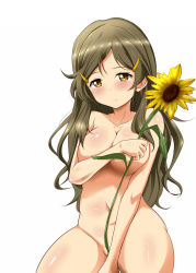 Rule 34 | 1girl, :/, benibana, between legs, body blush, breasts, brown eyes, brown hair, cleavage, closed mouth, collarbone, covering privates, covering breasts, covering crotch, cowboy shot, flower, frown, groin, hair ornament, hairclip, hand between legs, head tilt, highres, holding, holding flower, large breasts, long hair, name connection, navel, nude, object namesake, shinomiya himawari, shiny skin, simple background, solo, sunflower, very long hair, vividred operation, white background