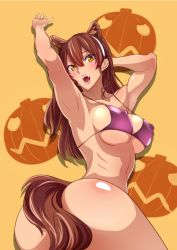 Rule 34 | 10s, 1girl, animal ears, arched back, arms up, ashigara (kancolle), ass, baron (nsbaron), bikini, bikini top only, bottomless, breasts, brown eyes, brown hair, covered erect nipples, cowboy shot, fangs, female focus, hair between eyes, hairband, halloween, jack-o&#039;-lantern, kantai collection, kemonomimi mode, large breasts, long hair, looking at viewer, open mouth, orange background, pink lips, pumpkin, ribs, slit pupils, solo, strap gap, swimsuit, tail, twisted torso, wolf ears, wolf tail