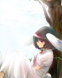 Rule 34 | 1girl, against tree, animal ears, bad id, bad pixiv id, black hair, dress, eco-sato, female focus, highres, inaba tewi, nature, outdoors, rabbit ears, rabbit girl, rabbit tail, red eyes, short hair, sky, solo, tail, touhou, tree