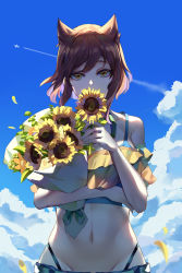 Rule 34 | 1girl, aircraft, airplane, animal ears, bare shoulders, blue sky, bouquet, brown eyes, brown hair, cloud, collarbone, commentary request, contrail, covering own mouth, day, donggua bing cha, flower, groin, highres, holding, holding bouquet, holding flower, layered clothes, looking at viewer, navel, original, outdoors, petals, short hair, short sleeves, sidelocks, sky, solo, stomach, sunflower, sunflower petals, thong, yellow flower