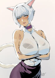 Rule 34 | 1girl, animal ears, arms under breasts, black bra, blush, bra, breasts, cat ears, cat tail, club3, collar, cowboy shot, crossed arms, dark-skinned female, dark skin, facial mark, final fantasy, final fantasy xiv, grey eyes, grey hair, highres, large breasts, looking at viewer, miqo&#039;te, neck tattoo, shirt, short hair, skirt, sleeveless, solo, sweat, tail, tattoo, underwear, wet, wet clothes, wet shirt, whisker markings, white shirt, y&#039;shtola rhul