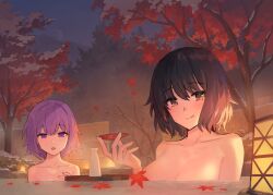 Rule 34 | 2girls, :q, autumn leaves, bad link, bottle, breast envy, breasts, brown eyes, brown hair, chorefuji, closed mouth, collarbone, commentary request, flat chest, hair between eyes, hand up, holding, holding saucer, large breasts, leaf, medium hair, moon, mountain, multiple girls, night, nude, onsen, open mouth, original, outdoors, purple eyes, purple hair, saucer, sky, smile, steam, tongue, tongue out, tray, tree, water