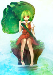Rule 34 | 1girl, ascot, bad id, bad pixiv id, barefoot, bug, butterfly, female focus, green hair, insect, ivy, kazami yuuka, leaf umbrella, plaid, plaid skirt, plaid vest, plant, red eyes, ringpearl, rock, short hair, sitting, sitting on rock, skirt, skirt set, smile, soaking feet, solo, touhou, umbrella, vest, vines, water