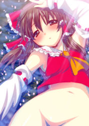 Rule 34 | 1girl, arm up, ascot, blush, bottomless, bow, brown eyes, brown hair, detached sleeves, female focus, groin, hair bow, hair tubes, hakurei reimu, long hair, lying, navel, on back, open mouth, out-of-frame censoring, partially submerged, petals, saki chisuzu, shirt, solo, touhou, water