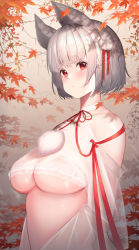 Rule 34 | 1girl, animal ears, autumn leaves, banitya, bare shoulders, blush, border, breasts, closed mouth, collarbone, commentary request, day, eyebrows, eyelashes, grey hair, hair ribbon, highres, inubashiri momiji, large breasts, leaf, looking at viewer, maple leaf, medium breasts, original, outdoors, pom pom (clothes), red eyes, red ribbon, ribbon, see-through, short eyebrows, short hair, solo, thick eyebrows, underboob, upper body, white border, wolf ears